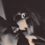 퓑퓪퓭 퓰퓲퓻퓵 — Для Взрослых Telegram