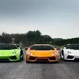 GIRL.FOR.ME — Для Взрослых Telegram