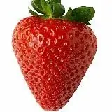 Клубничка(18+) — Réservé aux adultes Telegram