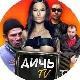 ДИЧЬ TV 18+ — Для Взрослых Telegram