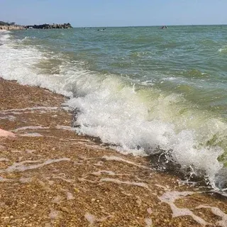 Аbout — Noticias y medios Telegram