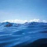 g Δ z e — Для Взрослых Telegram