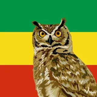 Абиссинская Сова — Новости и СМИ Telegram