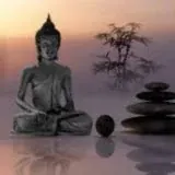 BuddaService — Для Взрослых Telegram