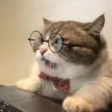 . — Для Взрослых Telegram