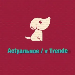 Actуальное / v Тrende — Actualités et médias Telegram