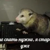 Бедное солнце 18+ — Для Взрослых Telegram