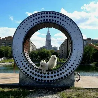 Аэропорт-место встречи — Новости и СМИ Telegram