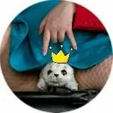 Нерпа в трусиках :3 — Réservé aux adultes Telegram