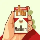 Siga13Magaz — Для Взрослых Telegram