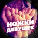 Лисий домик | Лисы и Лисички — Réservé aux adultes Telegram