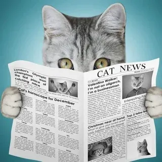 Агрегатор. Хорошие новости — Nachrichten und Medien Telegram