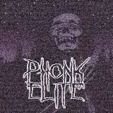 phonk.elita — Для Взрослых Telegram