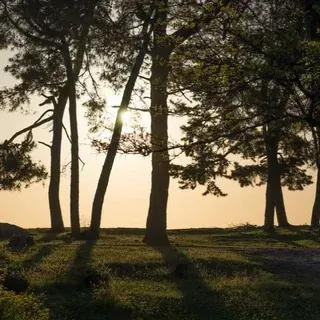 Агудзера Today — Actualités et médias Telegram