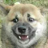 НаСвязи — Для Взрослых Telegram