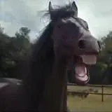 Взоржал! — Для Взрослых Telegram