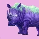 Лиловый носорог — Для Взрослых Telegram