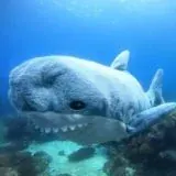 вы готовы дети?))) — Для Взрослых Telegram