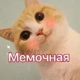 Мемочна — Réservé aux adultes Telegram