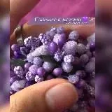 퐻푎푝푝푖푛푒푠푠 — Для Взрослых Telegram