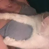 Дашуля — Для Взрослых Telegram