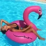 F L A M I N G O 18+ — Для Взрослых Telegram