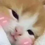 Перенаправление на канал — Для Взрослых Telegram