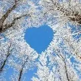 Плакал Голливуд — Для Взрослых Telegram