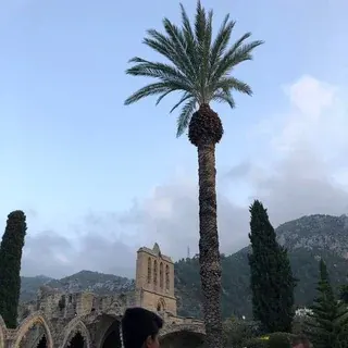 Асгард Ирийский — Новости и СМИ Telegram