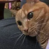 Истории — Для Взрослых Telegram