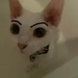 роди меня обратно / 18+ — Для Взрослых Telegram