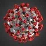 Coronavirus. Covid-19. Коронавирус — Для Взрослых Telegram