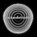 Чёрное и белое — Для Взрослых Telegram