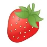 Dating Network — Для Взрослых Telegram