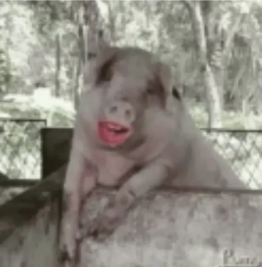 Naughty Family — Для Взрослых Telegram