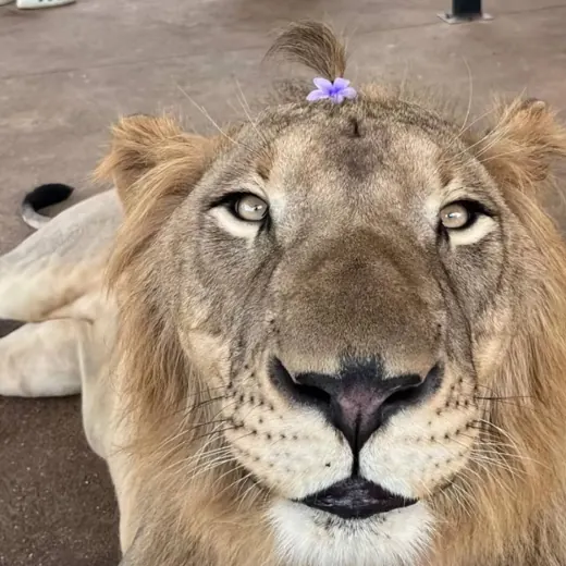 дарьюшечка 👠 — Блоги Telegram