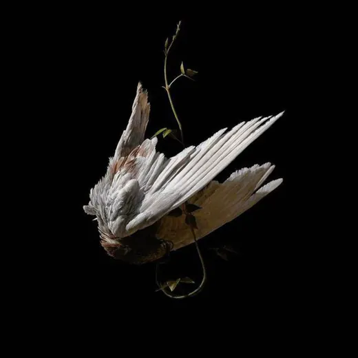 burial — Другое Telegram