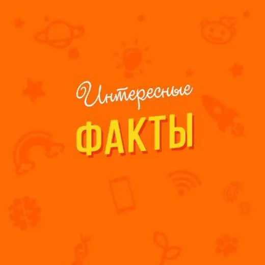 Фактⁱˢʰ — Развитие, Обучение Telegram