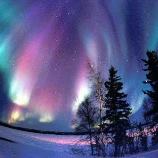 Охотники за Сиянием СПб - Алерт — Новости и СМИ Telegram