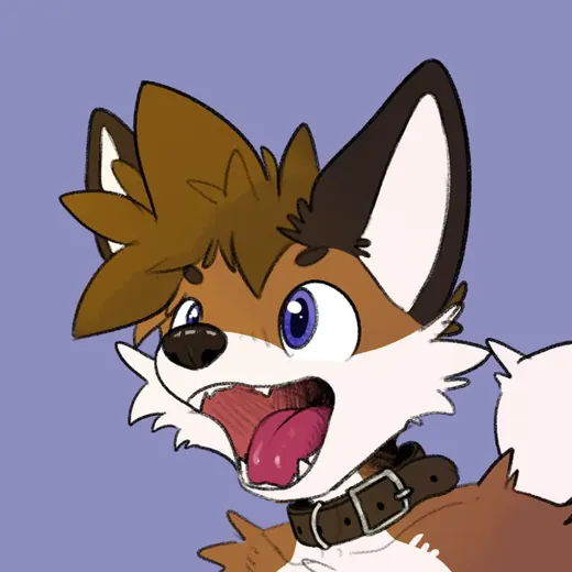 confy! — Аниме Telegram