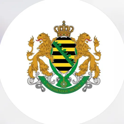 Freie Sachsen — Historia Telegram