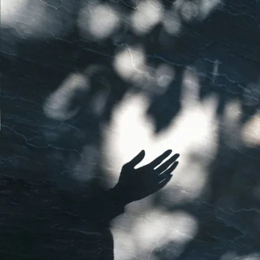 鸡秀 🐥 — Для Взрослых Telegram