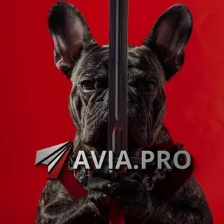 Avia.pro — Actualités et médias Telegram