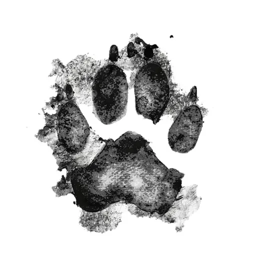 COPYPAWSTA🐾 — Для Взрослых Telegram