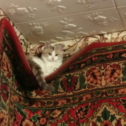 🍂Ms.InkArt🍁 — Для Взрослых Telegram