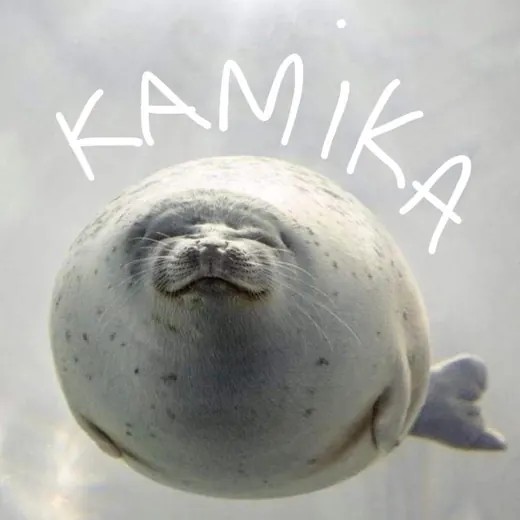 камика передых — Для Взрослых Telegram