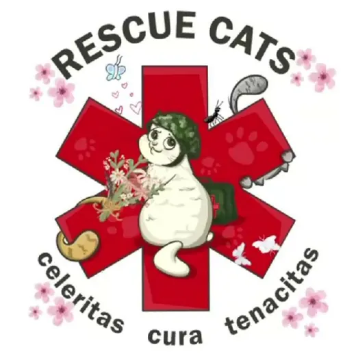 RESCUE CATS — НКО и благотворительность Telegram