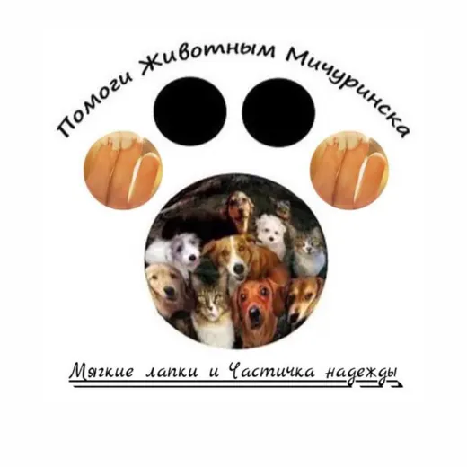 🌸Канал «МЯГКИЕ ЛАПКИ» - «Частичка надежды» Мичуринск — Для Взрослых Telegram