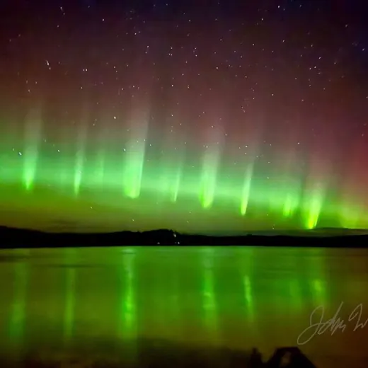 Чудный мир ️ — Блоги Telegram