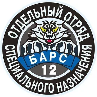 БАРС 1️⃣2️⃣ ⚡️Za Победу⚡️ — Новости и СМИ Telegram